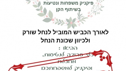 טו בשבט.jpeg