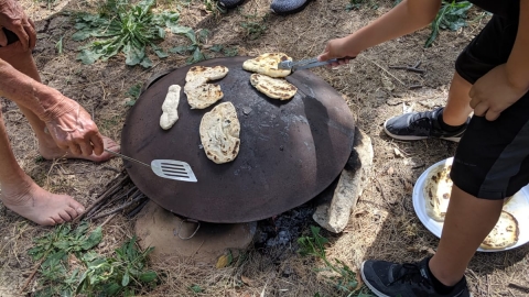 IMG-20190603-WA0044.jpg