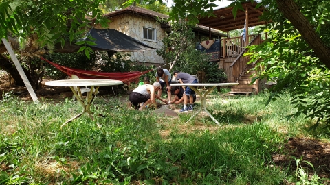 20190603_092133.jpg