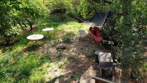20190603_091416.jpg