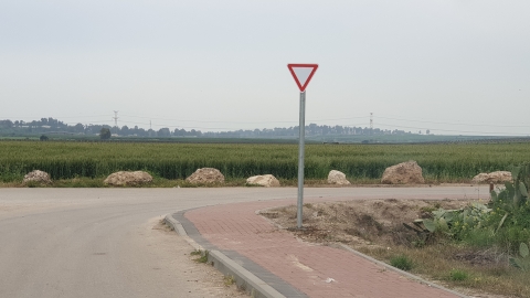 20190324_115439.jpg