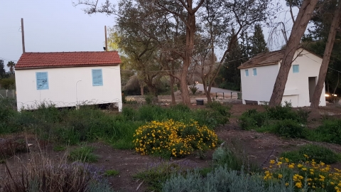 IMG-20190403-WA0044.jpg