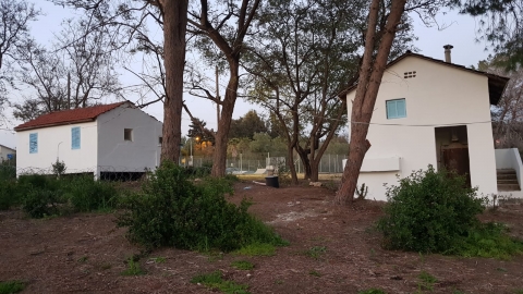 IMG-20190403-WA0046.jpg