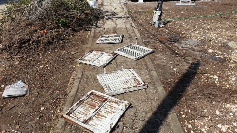 20190403_101054.jpg
